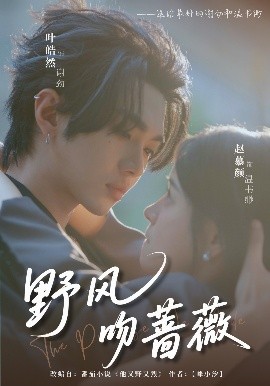野风吻蔷薇(全集)