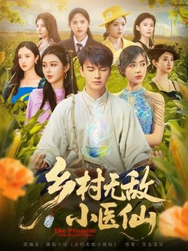 乡村无敌小医仙(全集)