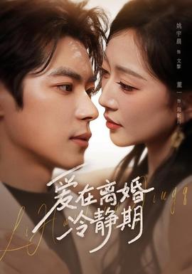 爱在离婚冷静期(全集)