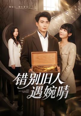 错别旧人遇婉晴(全集)