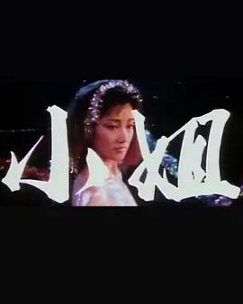 小姐自动献身